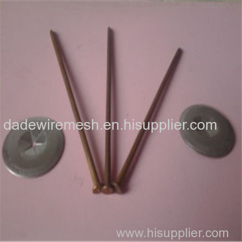 Polished Common Nails/ common iron nail /common wire nail heat preservation nail