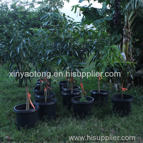 Plastic Nursery Pots 7 Gallon in Flowers Pots & Planters (size: 34.0*27.0*36.5cm)