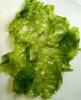 sea lettuce (ulva lactuca) / GREEN SEAWEED (RAW)