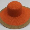 Summer Straw Floppy Hats