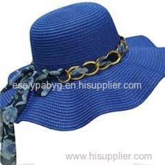 Paper Straw Floppy Hat