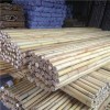 Natural Bamboo Fence Product Product Product