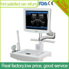 Sonostar portable ultrasound laptop diagnostic ultrasound scanner with CE low price SS-100