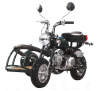 Monkey Bikes MANGO-P PBZ110-1P 110cc price 250usd