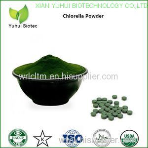 chlorella bio chlorella algae klorella chorela chlorella supplement chlorella alga