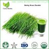 Barley Grass Powder organic barley grass powder barley grass juice powder