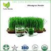 wheatgrass powder organic wheatgrass powder wheat grass powder wheatgrass extract