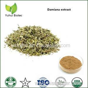strengthening yang damiana leaf extract powder sexual powder natural damiana extract