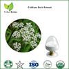 cnidium extract cnidium fruit extract cnidium monnieri extract osthole