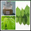 mulberry leaf extract 1-Deoxynojirimycin 1-DNJ Mulberry Leaf Extract 1-DNJ