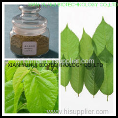 mulberry leaf extract 1-Deoxynojirimycin 1-DNJ Mulberry Leaf Extract 1-DNJ