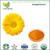 marigold flower extract marigold flower extract lutein marigold flower extract powder