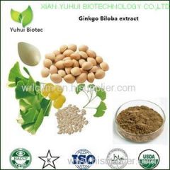 ginkgo biloba softgel capsule ginkgo biloba softgel capsule 1000mg ginkgo biloba softgel