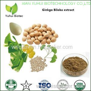 ginkgo biloba softgel capsule ginkgo biloba softgel capsule 1000mg ginkgo biloba softgel