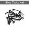 Shoe tacks shoe nails