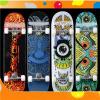 Custom Skateboard Sticker Product Product Product