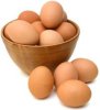 chicken egg for sale