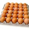 Fresh chicken egg white and brown size : 40g-50g-60g-65g-70g