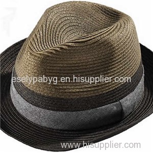 Panama Hats/Straw Hats/Cowboy Hats
