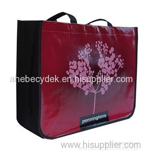 Non Woven Gift Bag