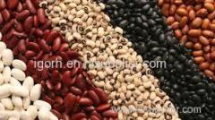 RED AND WHITE KIDNEY BEANS