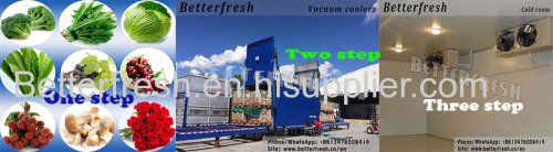 China Cost-effective Vegetable Vacuum cooling machine Fast precooler