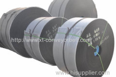 Polyester Conveyor Belt xt