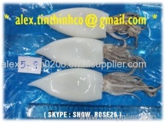 Frozen Squid Loligo Whole Clean / Squid Tentacle / Squid Ring / Frozen Squid Trips