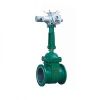 Electric and flanged power station gate valve
