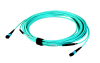 MPO Trunk cable series