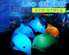 LED Dolphin Night Light