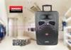 Professional Hi-Fi Battery Powered Pa System With Wireless Mic