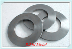 Grade5 Titanium Forged Ring & Disc