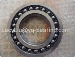 SKF NTN NACHI Koyo NSK Self-aligning Ball Bearing