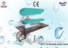 Fabric Steam Clothes Iron Press Machine Laundry Pressing Equipment