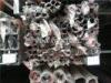 Windows Welding Stainless Steel Pipe Hailrline Finished Small Diameter