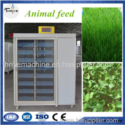 Grass/braley growing machine/animal feed cultivation machine