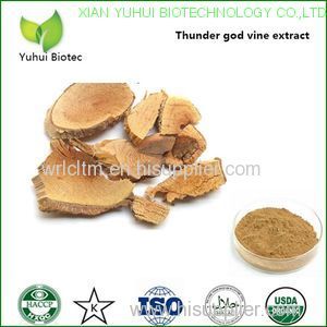 thunder god vine extract thunder god vine root extract thunder god vine extract powder