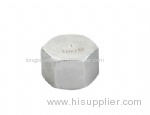 Hexagonal Caps SS304 SS316 SQUARE PLUG/oem-Lost wax casting
