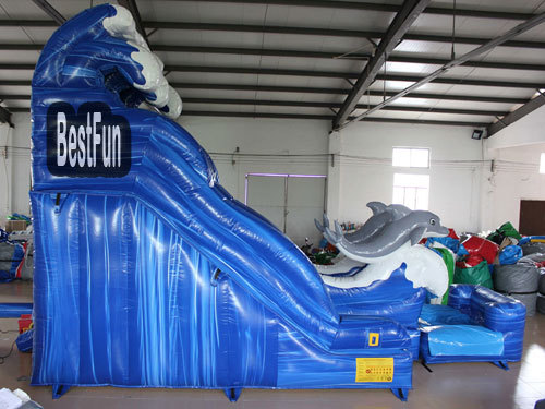 Dolphin Inflatable Water Slide with pool