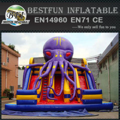 Octopus Large Plastic Water Slide For Sale