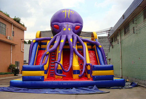 Octopus Large Plastic Water Slide For Sale