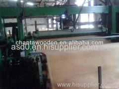 Rotary cut wood natural core veneer 0.3mm-1.7mm in Linyi factory