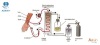 Auxin Plus Haemodialysis Fluid