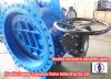 Double eccentric double flange butterfly valve with ISO CE approved