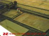 Sell ASTM|ASME-203GRD Pressure Vessel Boiler Steel Plate