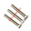 Titanium Hex Head Screws