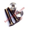 Titanium Slotted Countersunk Flat Head Bolts