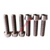 Ti Titanium Socket Cap Tapered Screws