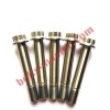 Titanium 12 Point Flange Bolts